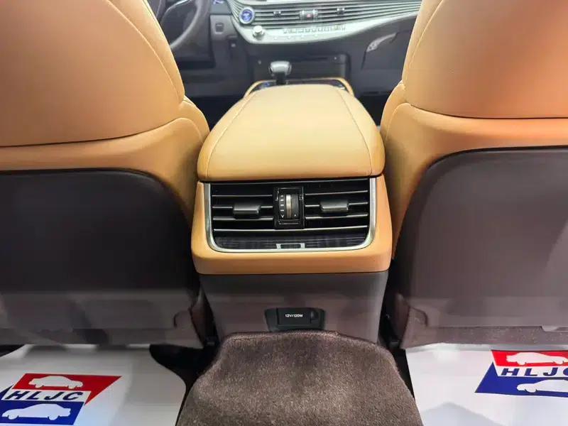 Lexus LS 2020 500h Premium Edition (China VI Emission Standard) — миниатюра 8
