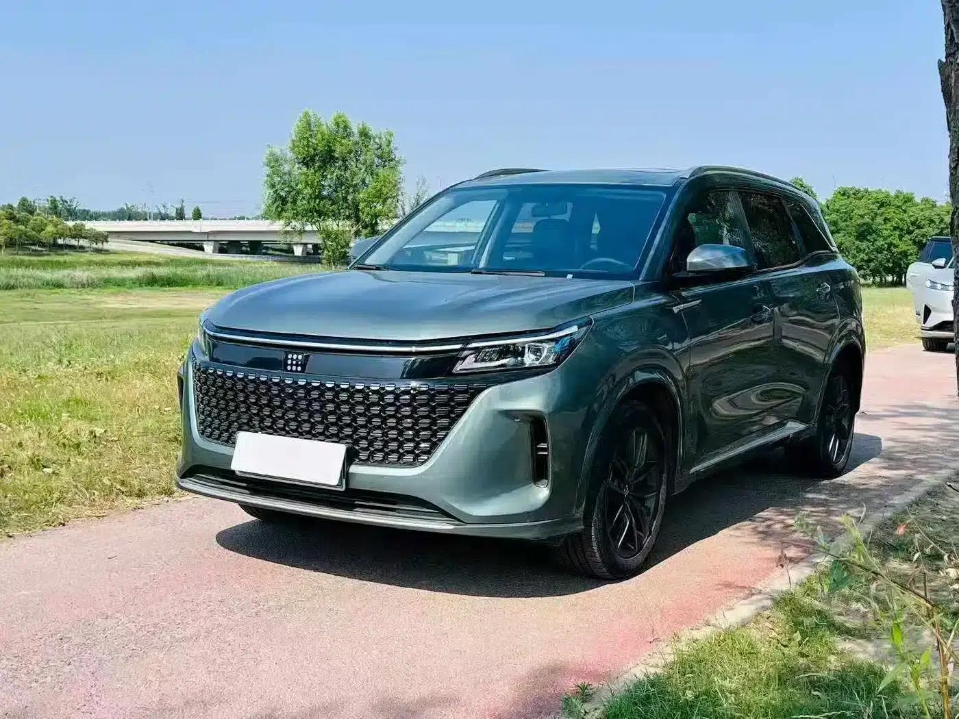 Blue Electric E5 2023 1.5L DE-i 100KM Premium Edition 7-seater — миниатюра 1