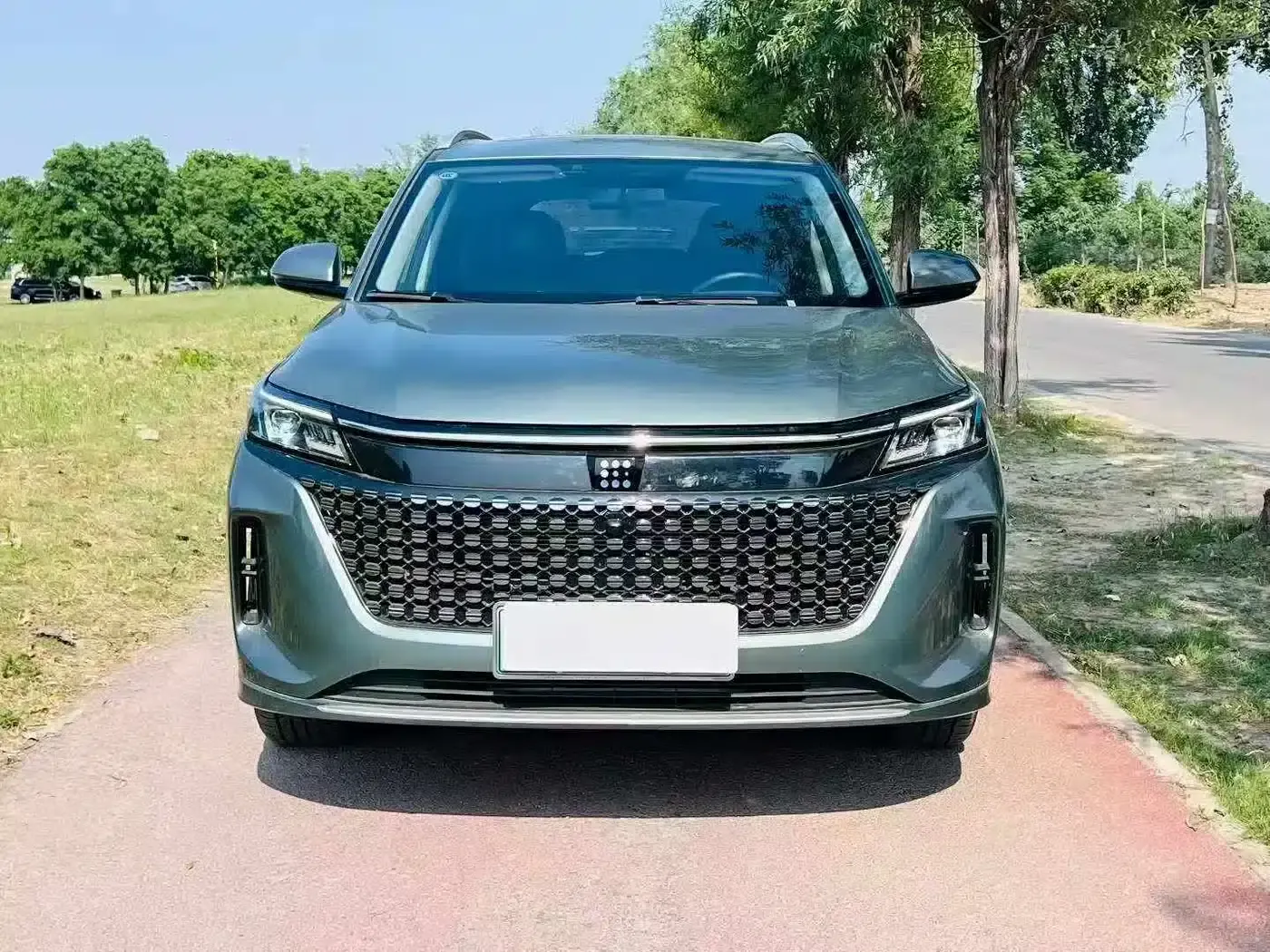 Blue Electric E5 2023 1.5L DE-i 100KM Premium Edition 7-seater — миниатюра 2