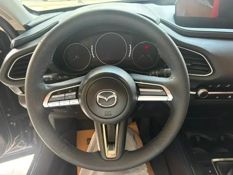 Mazda CX-30 2021 2.0L Automatic Premium Edition — миниатюра 14