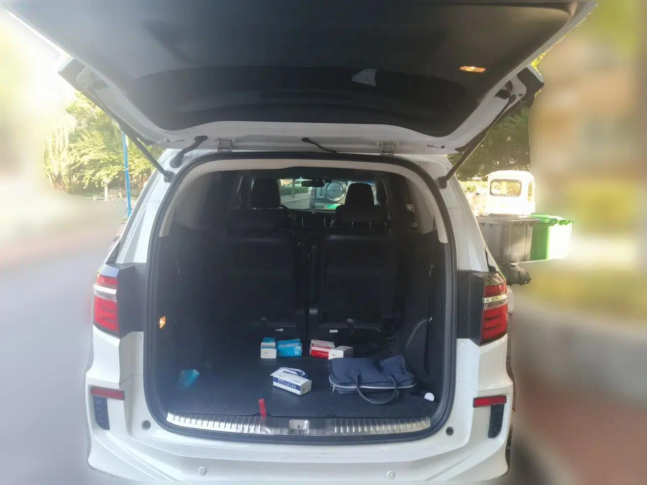 Honda Elysion 2016 2.4L Style Edition — миниатюра 19