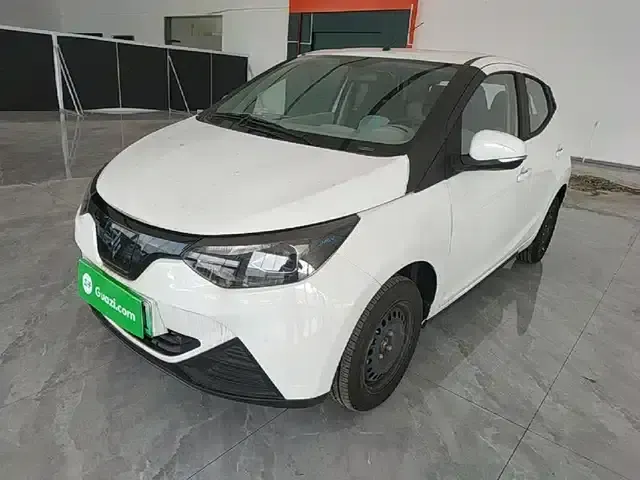 Yizhi EV2 2026 PLUS+ Comfort Model
