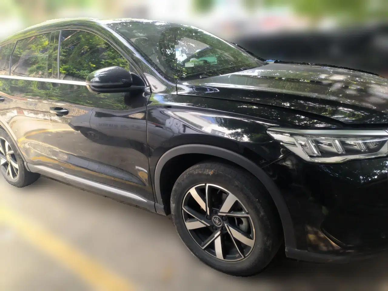 BYD Song Pro DMI71km Overcoming Type — миниатюра 3