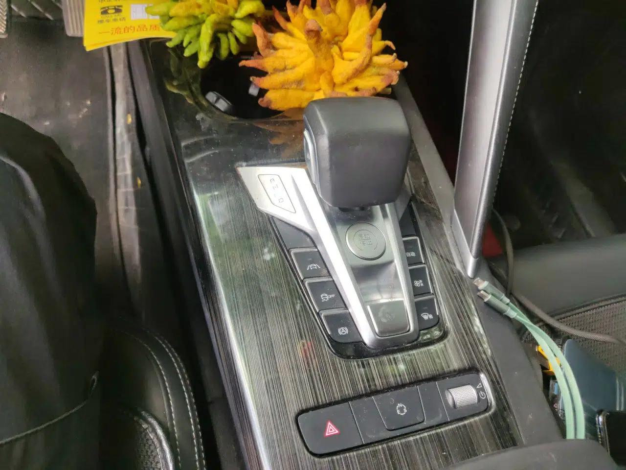 BYD Song Pro 2019 1.5T Automatic Luxury Model — миниатюра 14