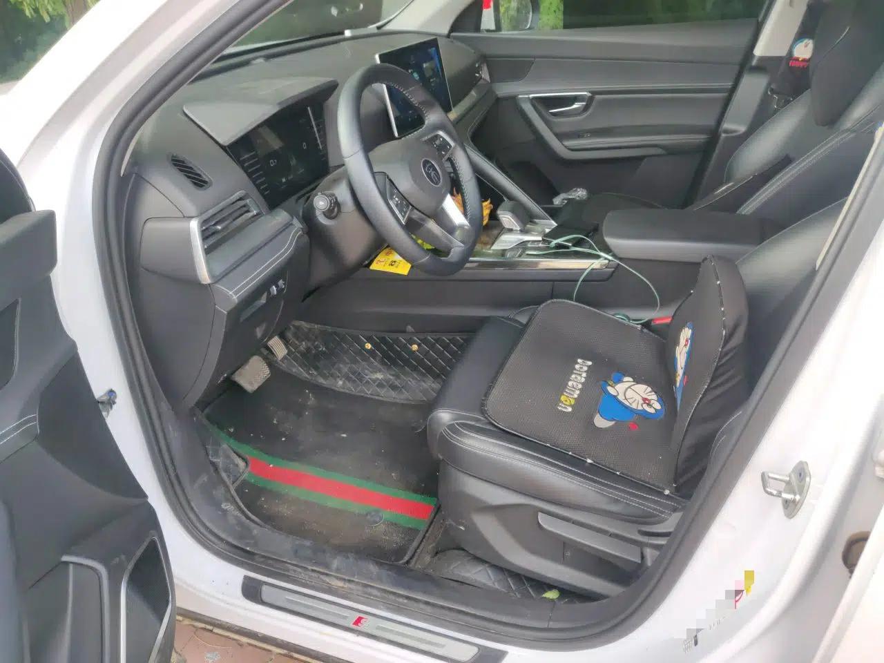 BYD Song Pro 2019 1.5T Automatic Luxury Model — миниатюра 15