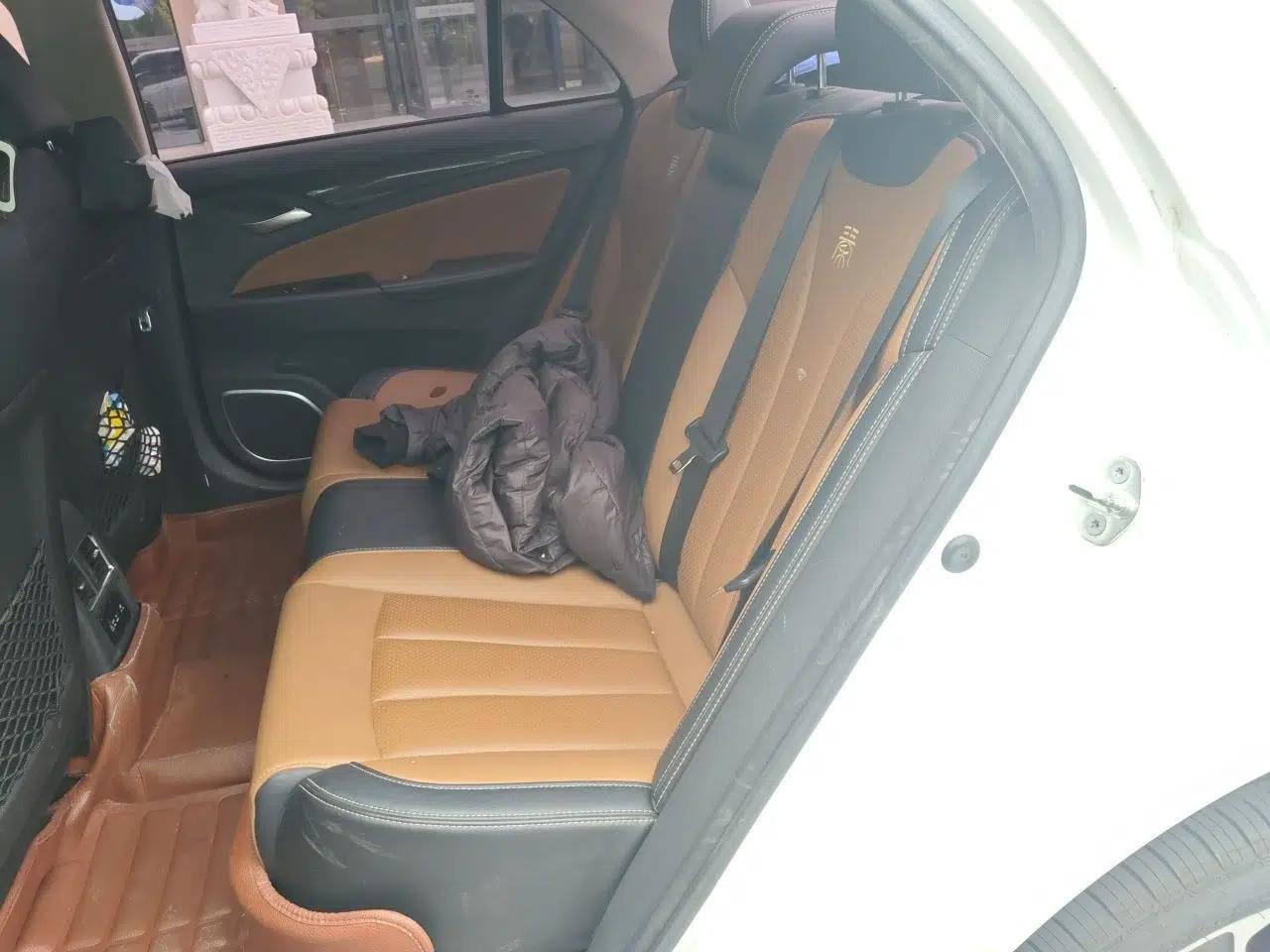 BYD Qin New Energy 2018 Qin EV450 Smart Connect Prestige Model — миниатюра 17
