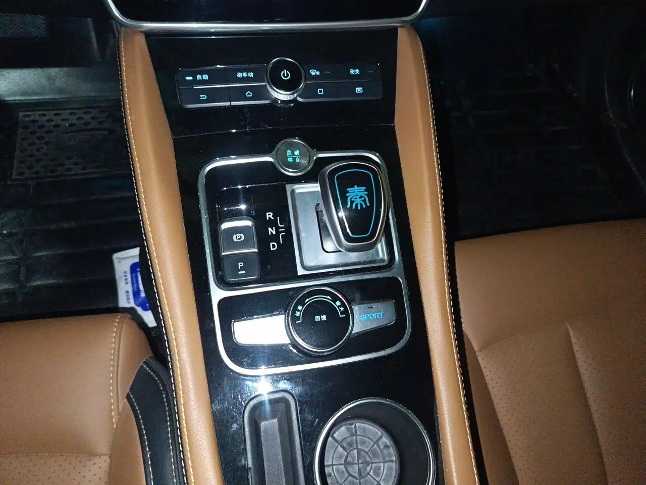 BYD Qin New Energy 2018 Qin EV450 Smart Connect Prestige Model — миниатюра 14