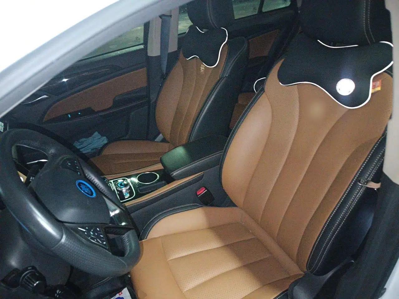 BYD Qin New Energy 2018 Qin EV450 Smart Connect Prestige Model — миниатюра 15