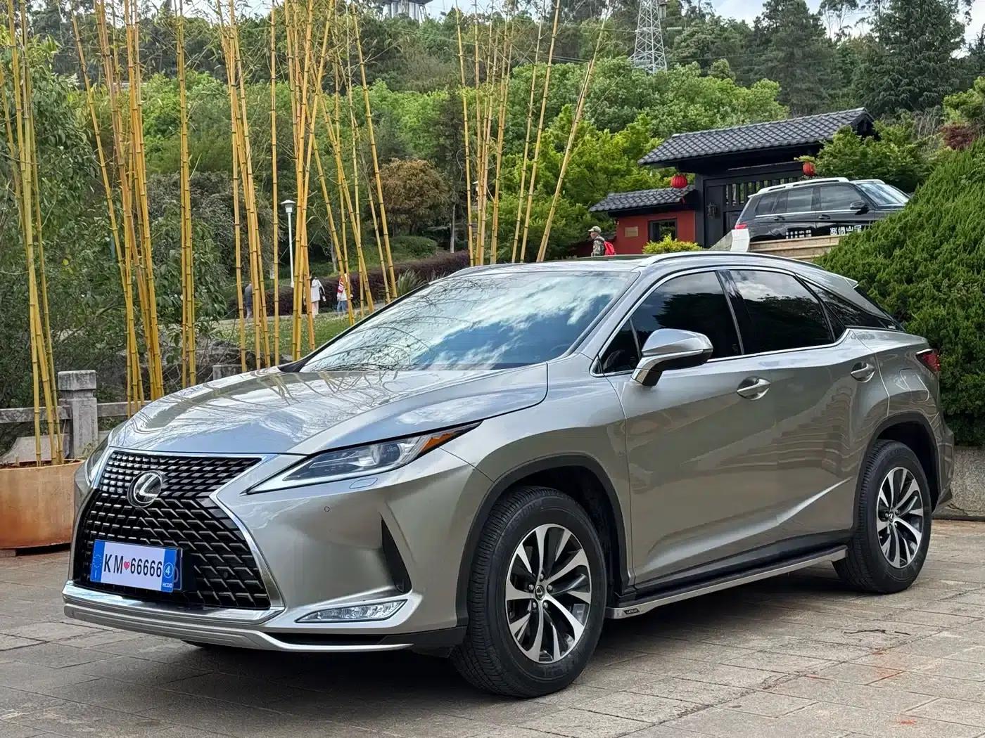 Lexus RX 2020 300 2WD Comfort Edition (China VI Emission Standard) — миниатюра 1
