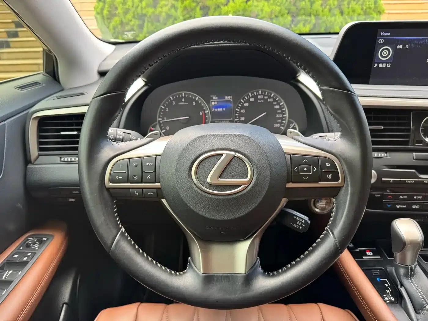 Lexus RX 2020 300 2WD Comfort Edition (China VI Emission Standard) — миниатюра 15