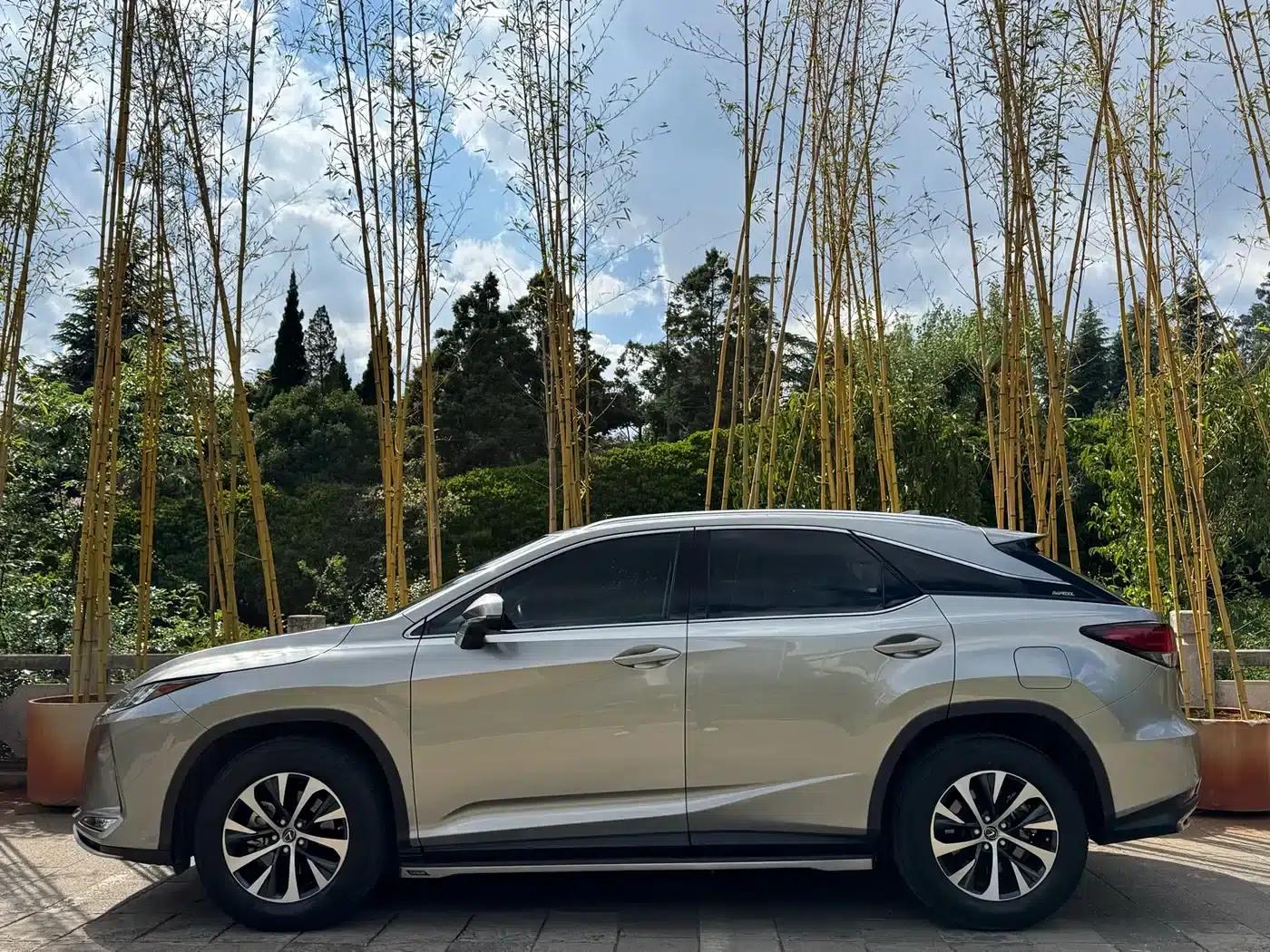 Lexus RX 2020 300 2WD Comfort Edition (China VI Emission Standard) — миниатюра 4