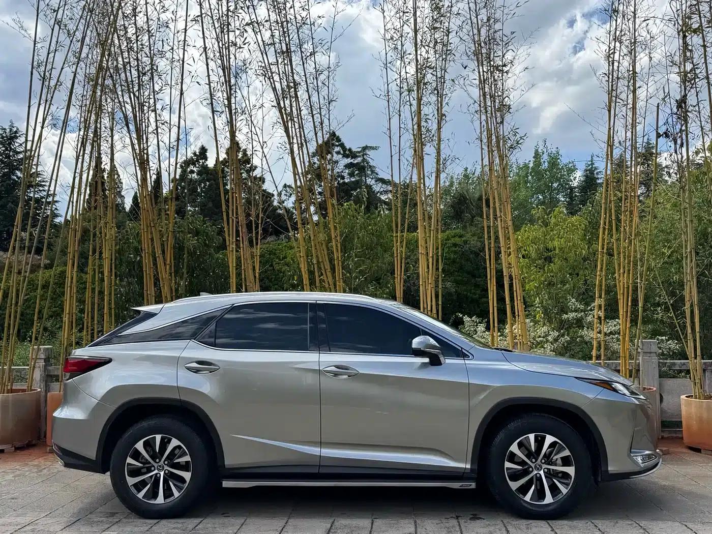 Lexus RX 2020 300 2WD Comfort Edition (China VI Emission Standard) — миниатюра 5