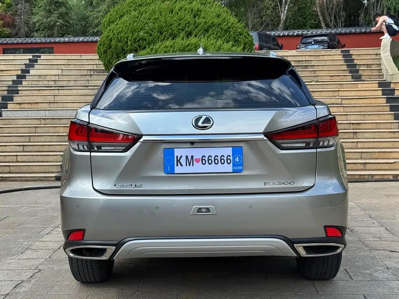 Lexus RX 2020 300 2WD Comfort Edition (China VI Emission Standard) — миниатюра 7