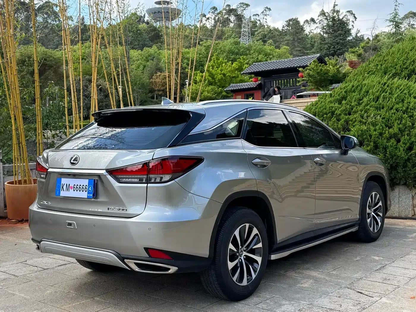 Lexus RX 2020 300 2WD Comfort Edition (China VI Emission Standard) — миниатюра 8