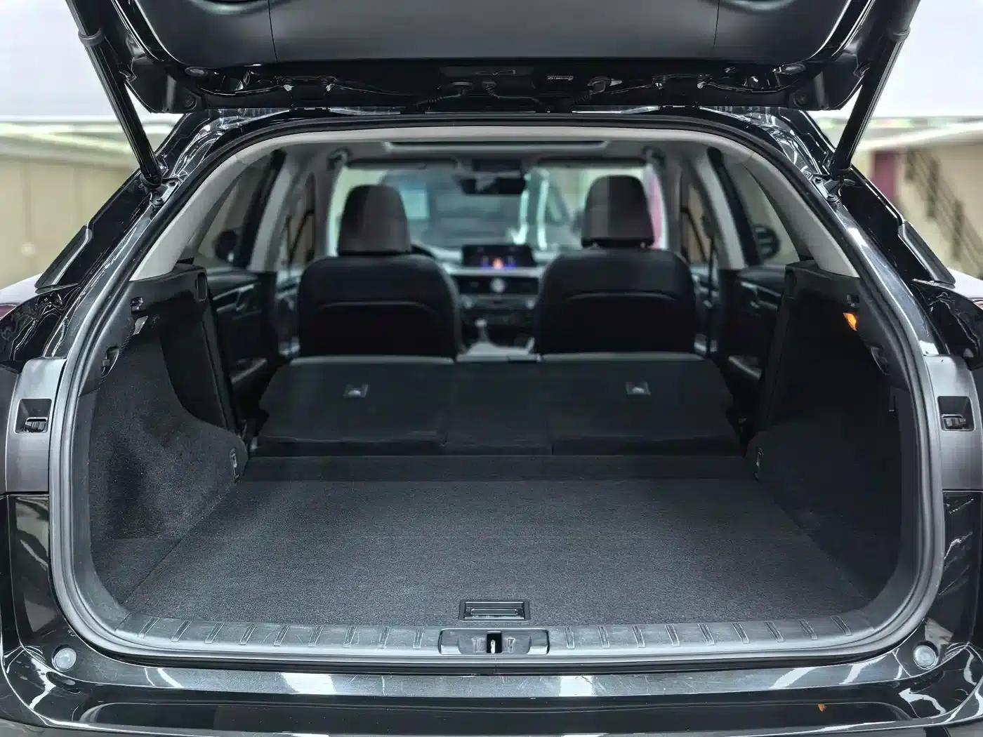 Lexus RX 2016 300 AWD Elegant Edition (China VI Emission Standard) — миниатюра 26
