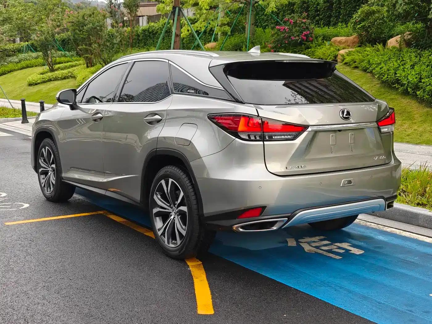 Lexus RX 2020 Facelift 300 AWD Elegant Edition — миниатюра 19