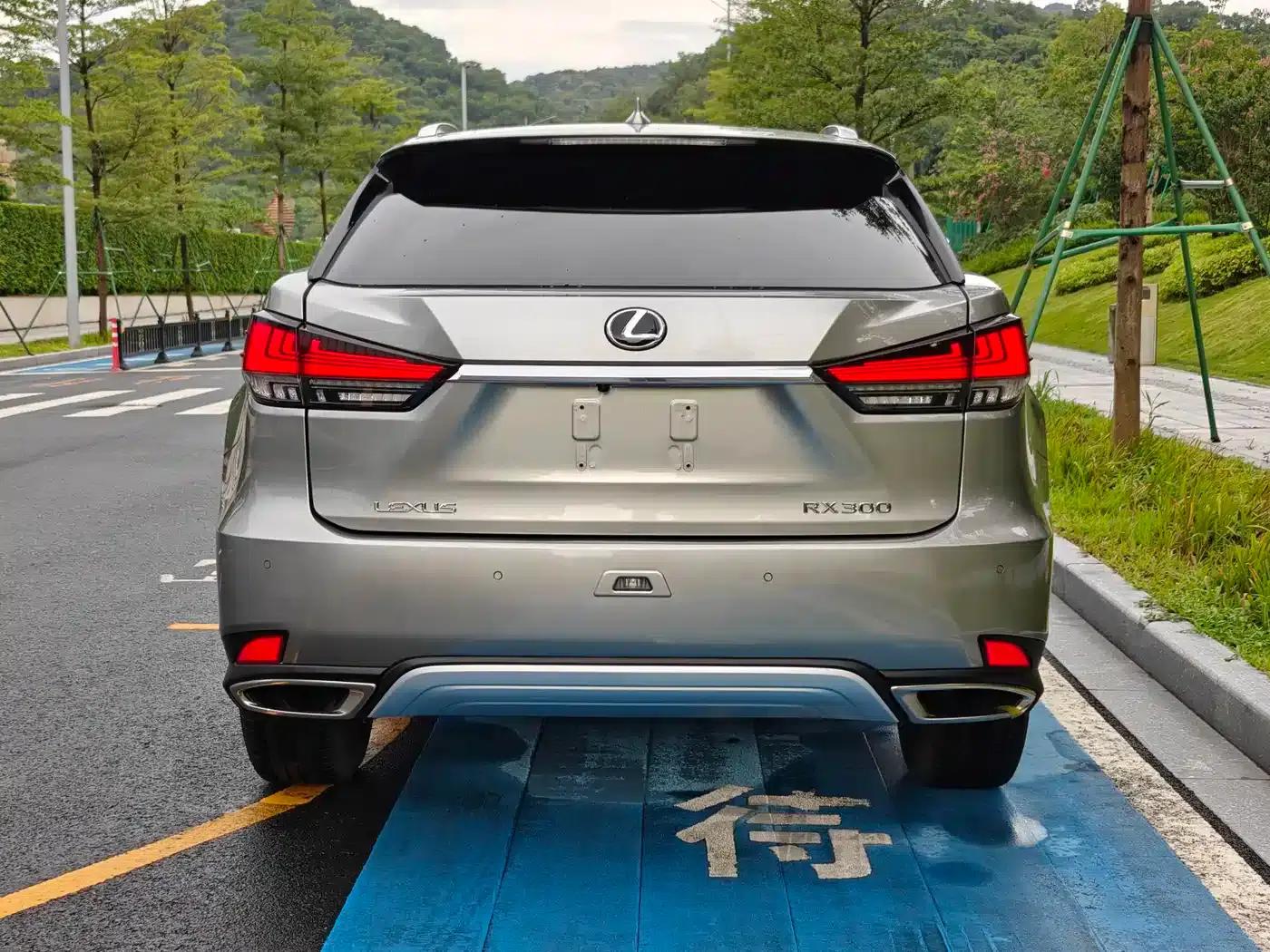 Lexus RX 2020 Facelift 300 AWD Elegant Edition — миниатюра 20