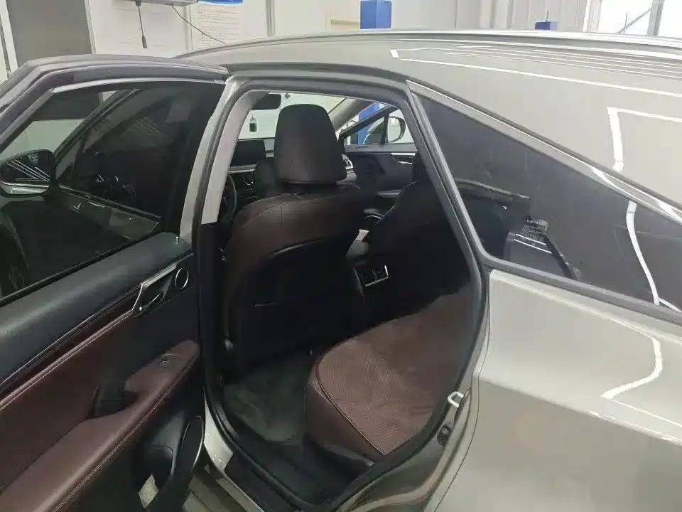 Lexus RX 2021 300 AWD Special Edition — миниатюра 4