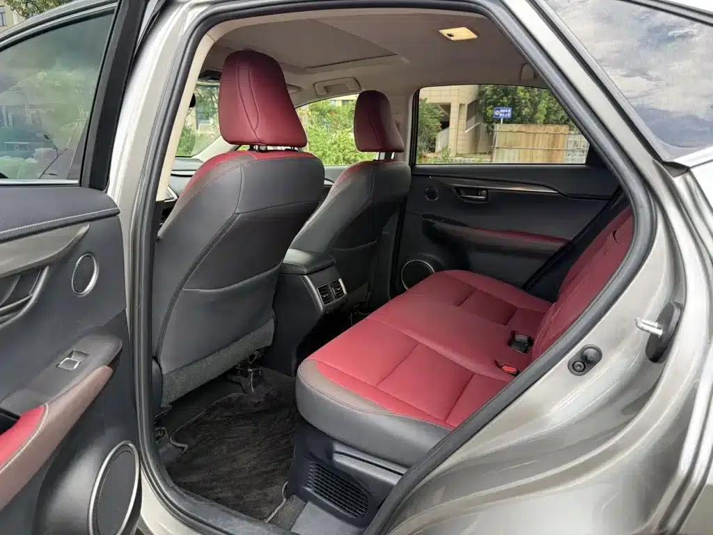 Lexus NX 2018 200 AWD Sport Edition (China V Emission Standard) — миниатюра 5