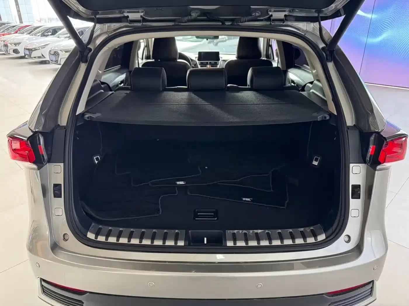 Lexus NX 2020 200 FWD Sport Edition (China VI Emission Standard) — миниатюра 8