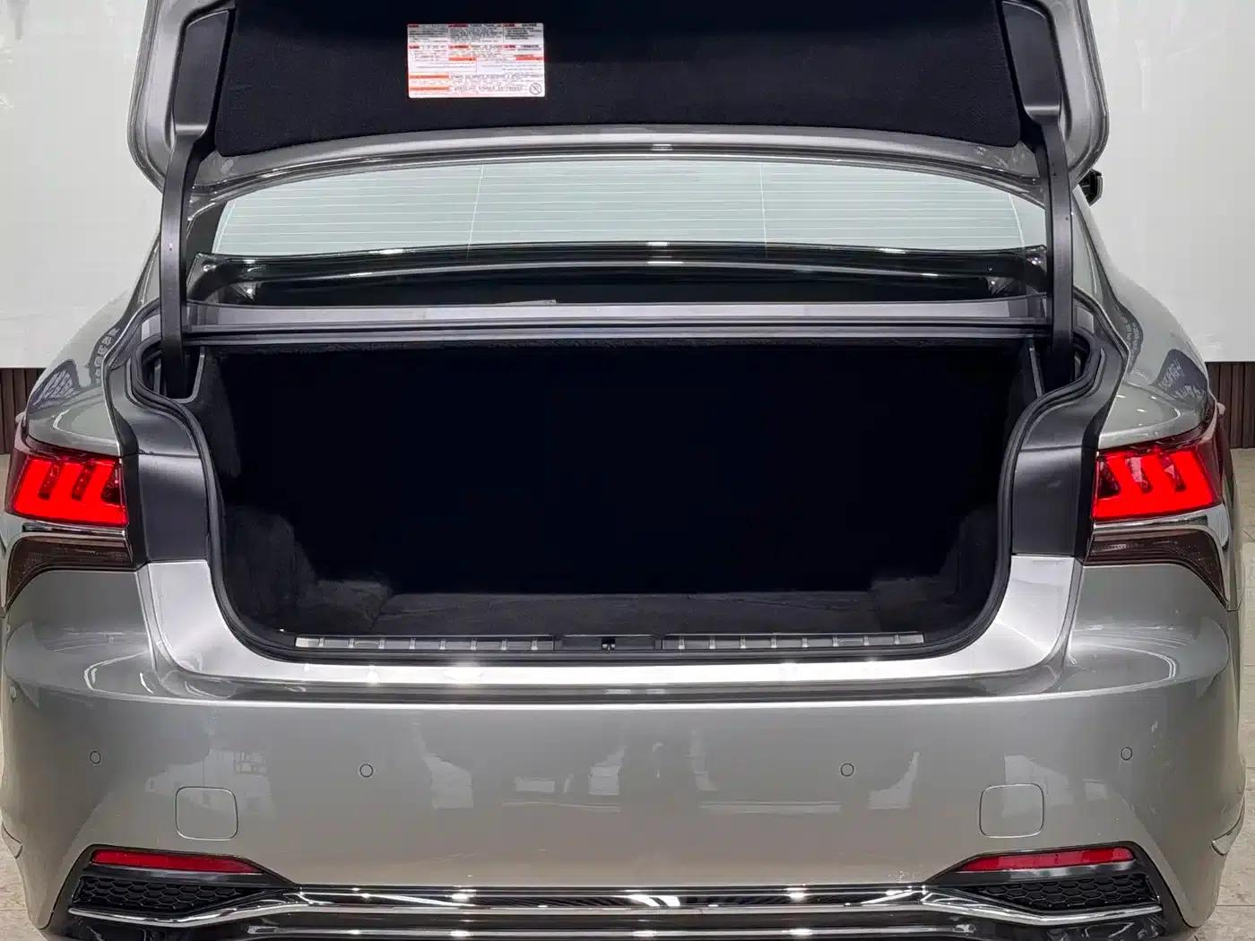 Lexus LS 2020 500h Premium Edition (China V Emission Standard) — миниатюра 21