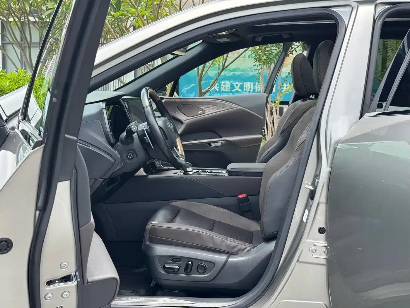 Lexus RX Hybrid 2023 450h+ AWD Enjoy Edition — миниатюра 5