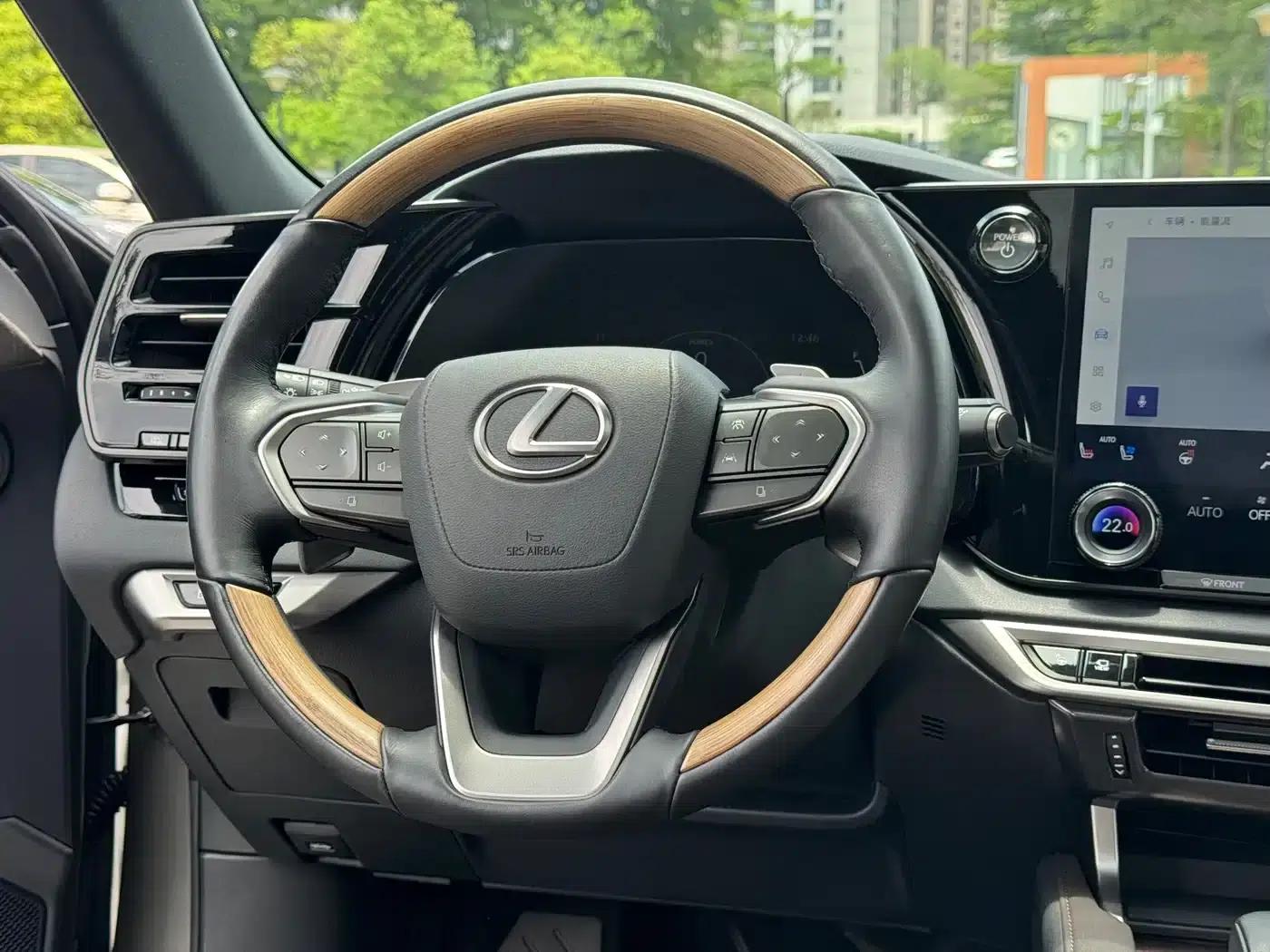 Lexus RX Hybrid 2023 450h+ AWD Enjoy Edition — миниатюра 9