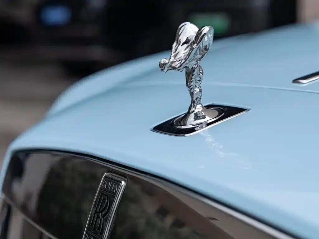 2013 Phantom 6.6T Standard Edition — миниатюра 9