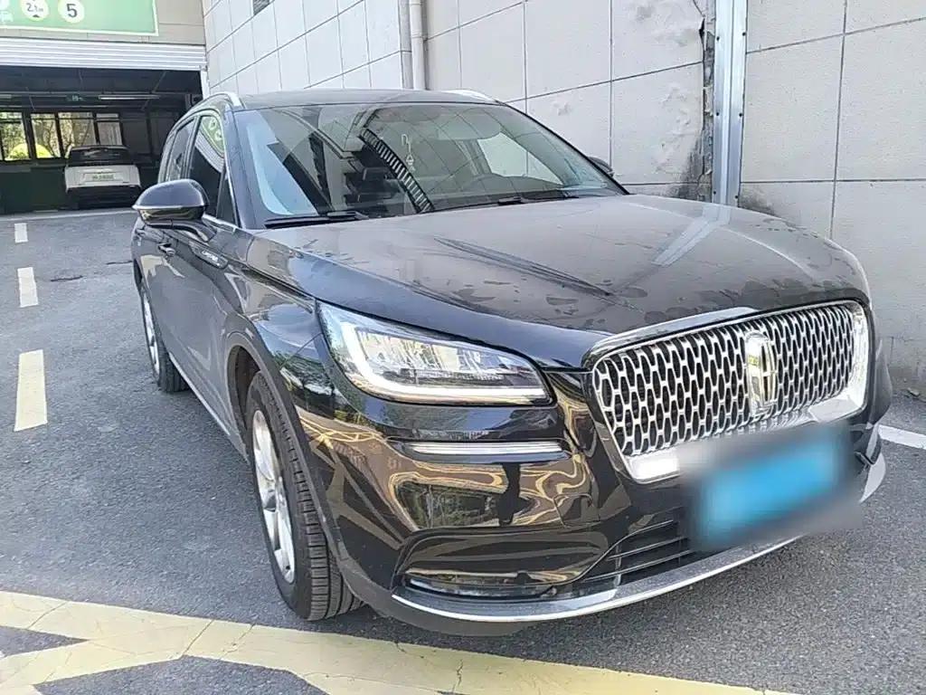 Adventurer 2021 2.0T 2WD Premium Edition — миниатюра 4