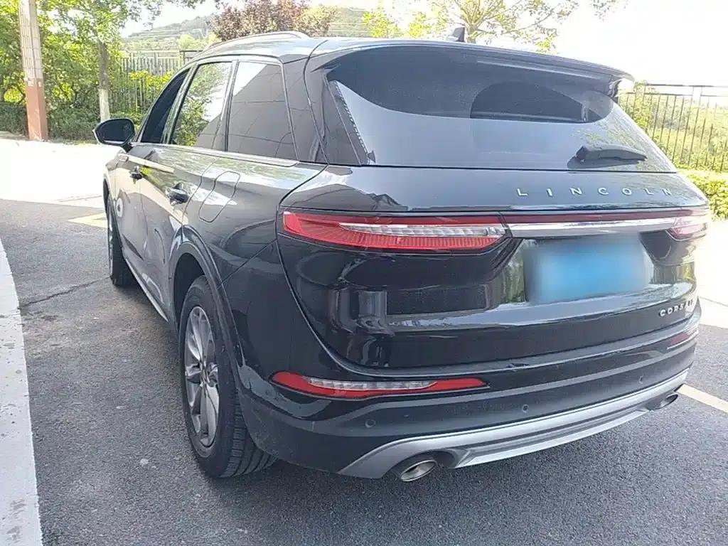 Adventurer 2021 2.0T 2WD Premium Edition — миниатюра 5