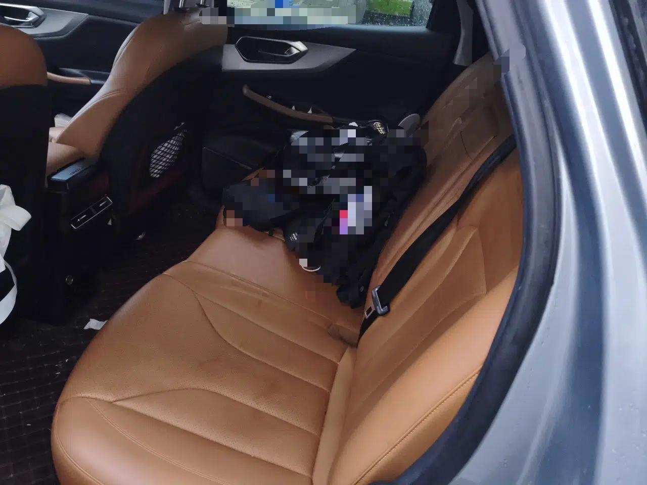 BAIC Beijing X7 2020 1.5TD DCT Leading Edition — миниатюра 20
