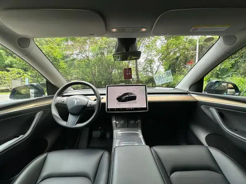 Model Y 2022 Facelift Long Range All-Wheel Drive Version — миниатюра 10