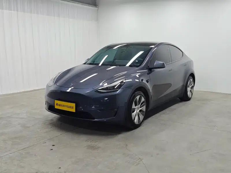 Model Y 2021 Standard Range Rear-Wheel Drive — миниатюра 1