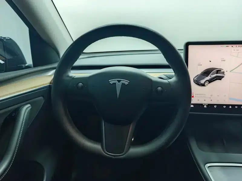 Model Y 2021 Standard Range Rear-Wheel Drive — миниатюра 16