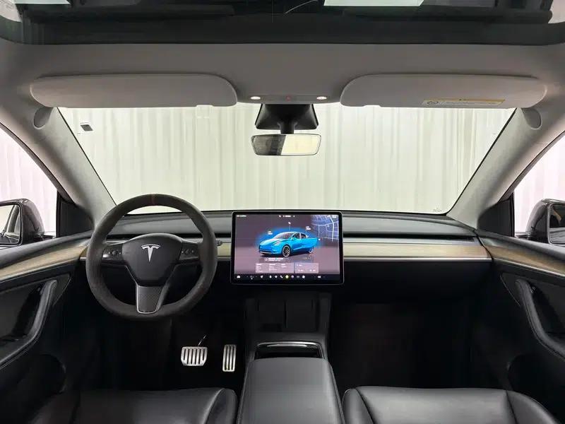 Model Y 2022 Performance All-Wheel Drive — миниатюра 14