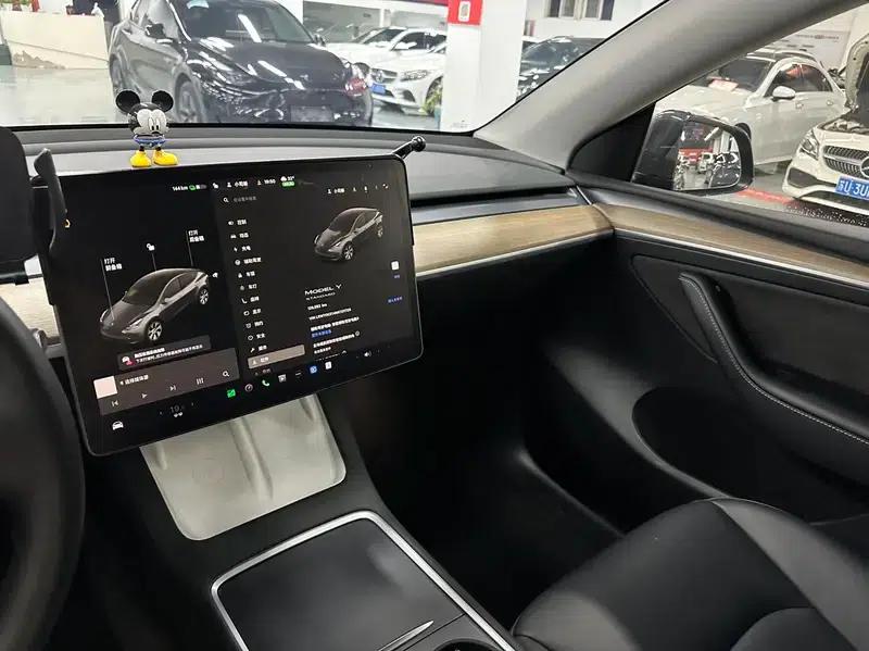 Model Y 2021 Standard Range Rear-Wheel Drive — миниатюра 12