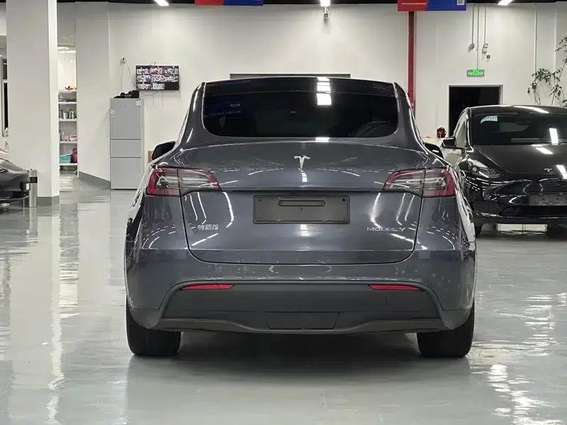 Model Y 2021 Standard Range Rear-Wheel Drive — миниатюра 4