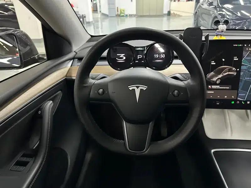 Model Y 2021 Standard Range Rear-Wheel Drive — миниатюра 8