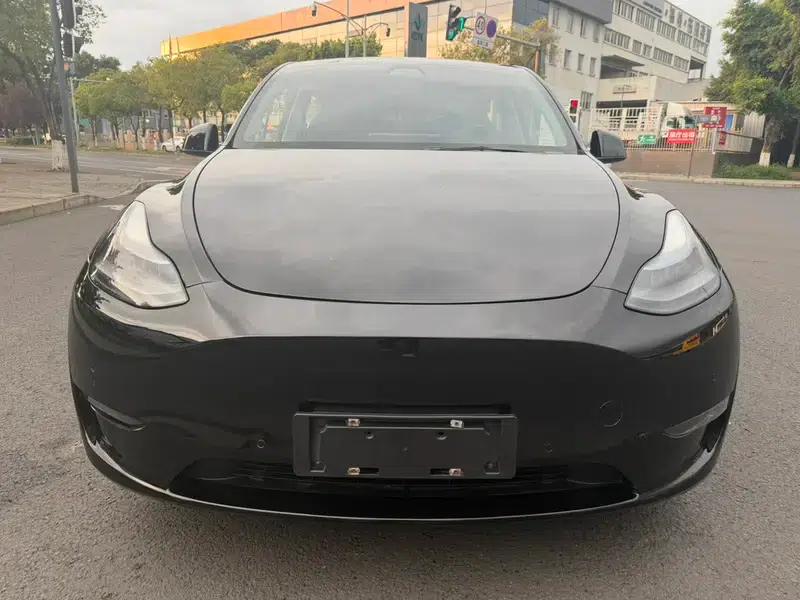 Model Y 2021 Standard Range Rear-Wheel Drive — миниатюра 2