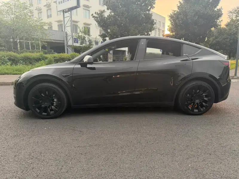 Model Y 2021 Standard Range Rear-Wheel Drive — миниатюра 4