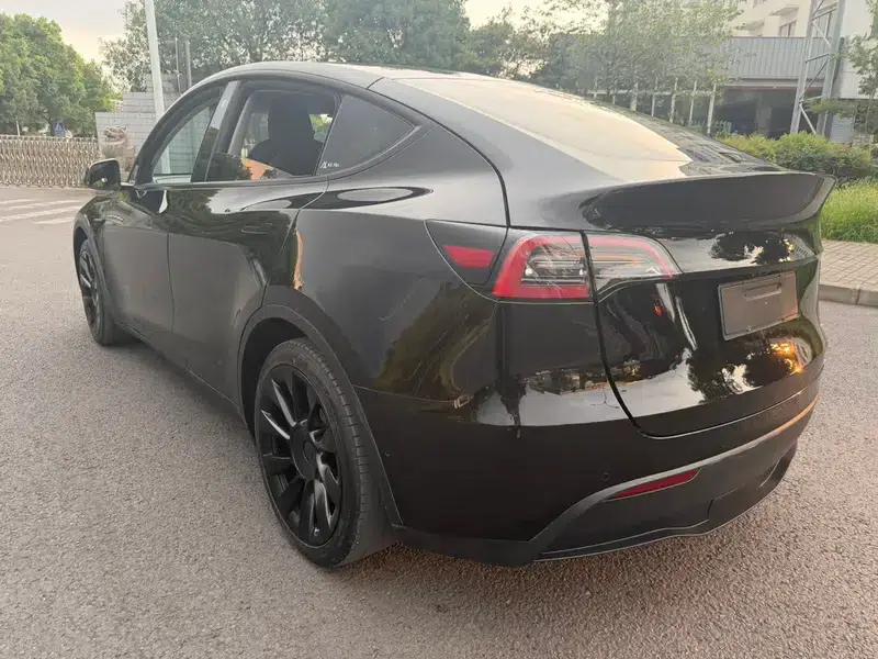 Model Y 2021 Standard Range Rear-Wheel Drive — миниатюра 5