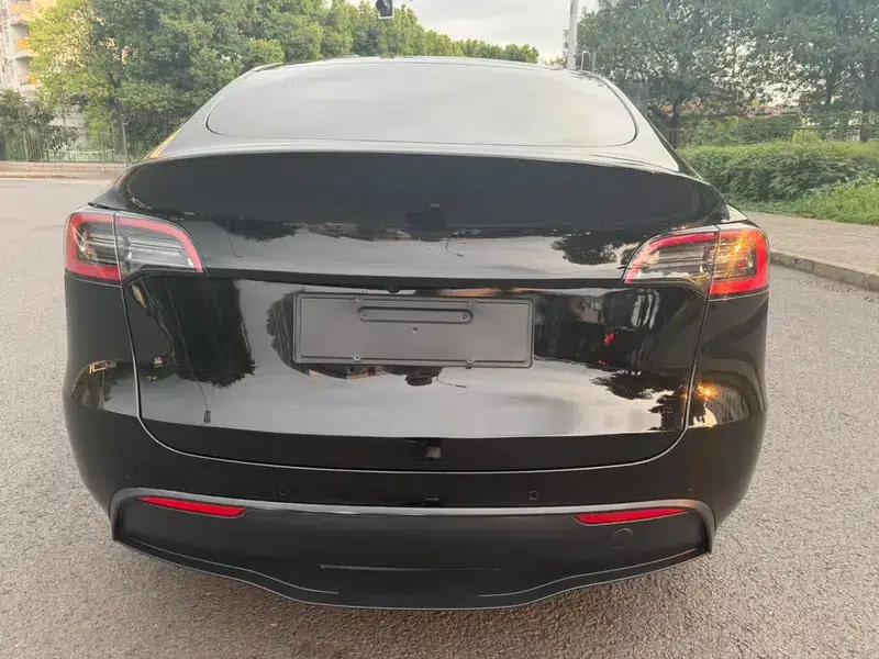 Model Y 2021 Standard Range Rear-Wheel Drive — миниатюра 6