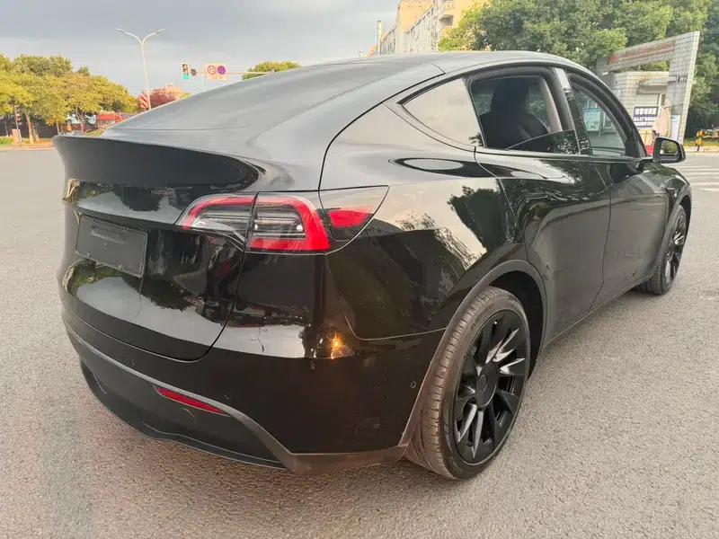 Model Y 2021 Standard Range Rear-Wheel Drive — миниатюра 7