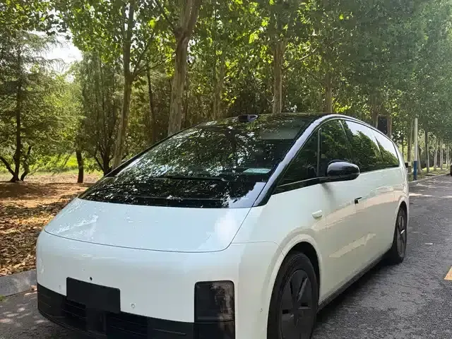Li Auto MEGA 2025 Home Edition
