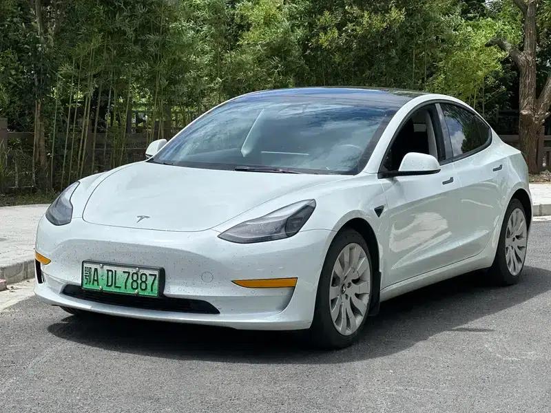 Model 3 2021 Standard Range Rear-Wheel Drive Upgrade 3D6 — миниатюра 1