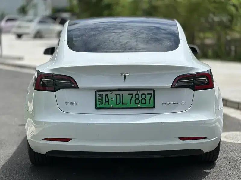 Model 3 2021 Standard Range Rear-Wheel Drive Upgrade 3D6 — миниатюра 3