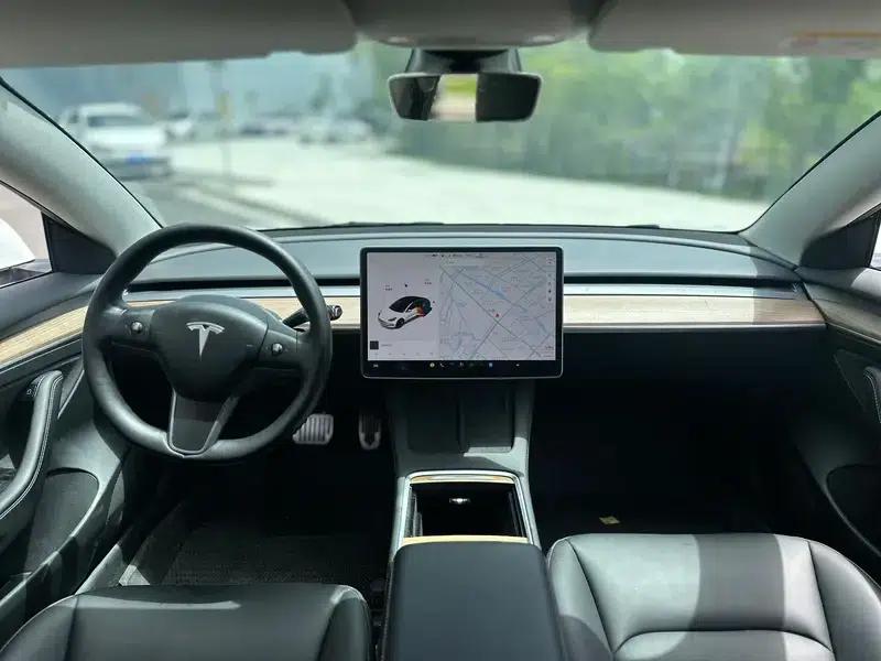 Model 3 2021 Standard Range Rear-Wheel Drive Upgrade 3D6 — миниатюра 6