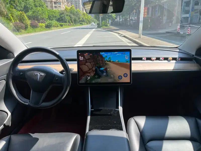 Model 3 2020 Standard Range Rear-Wheel Drive Upgrade — миниатюра 8