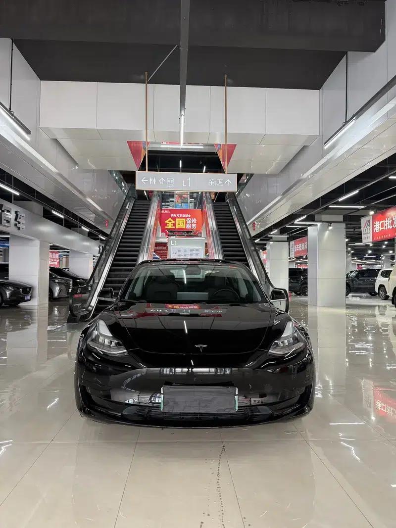 Model 3 2021 Standard Range Rear-Wheel Drive Upgrade — миниатюра 2
