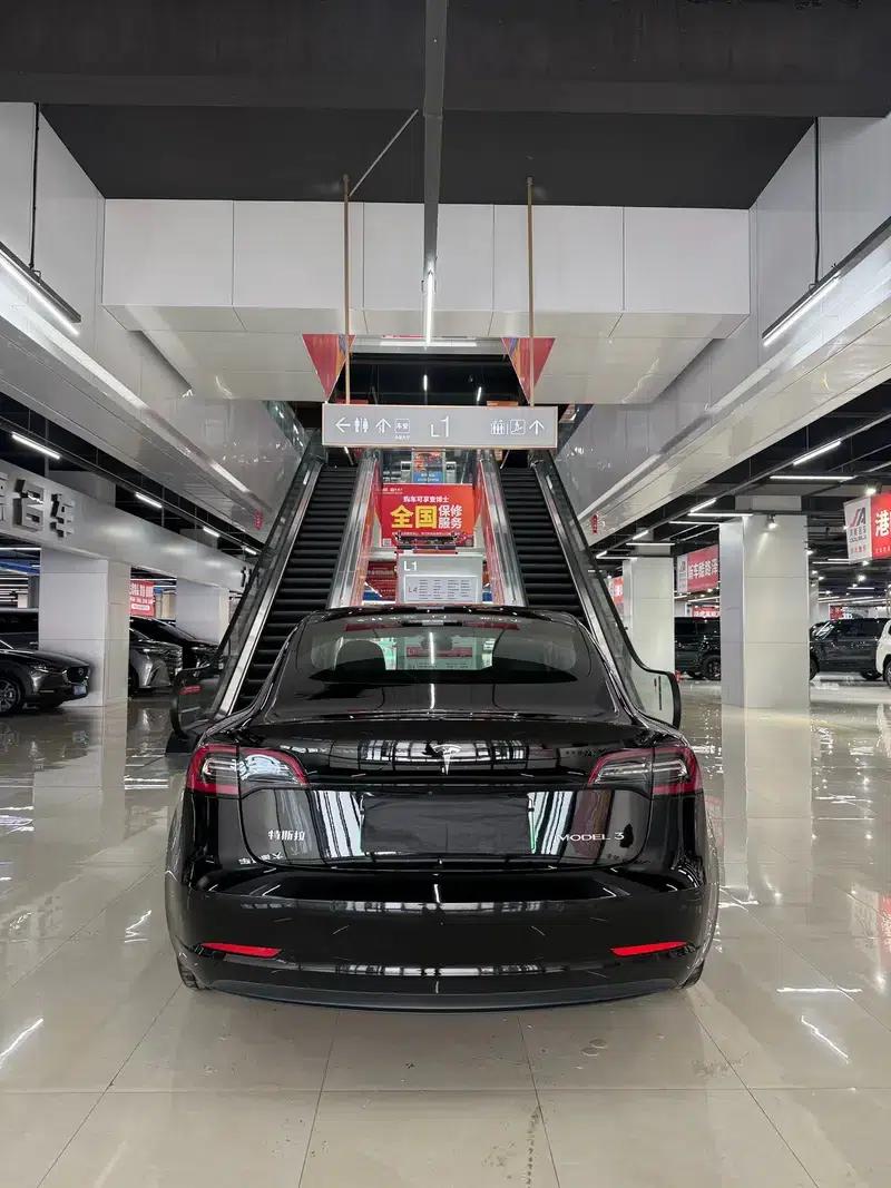 Model 3 2021 Standard Range Rear-Wheel Drive Upgrade — миниатюра 4